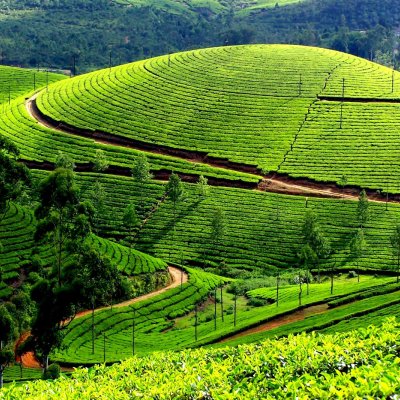 Cochin Tour